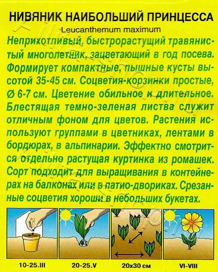 Ромашка садовая Принцесса 0,2г