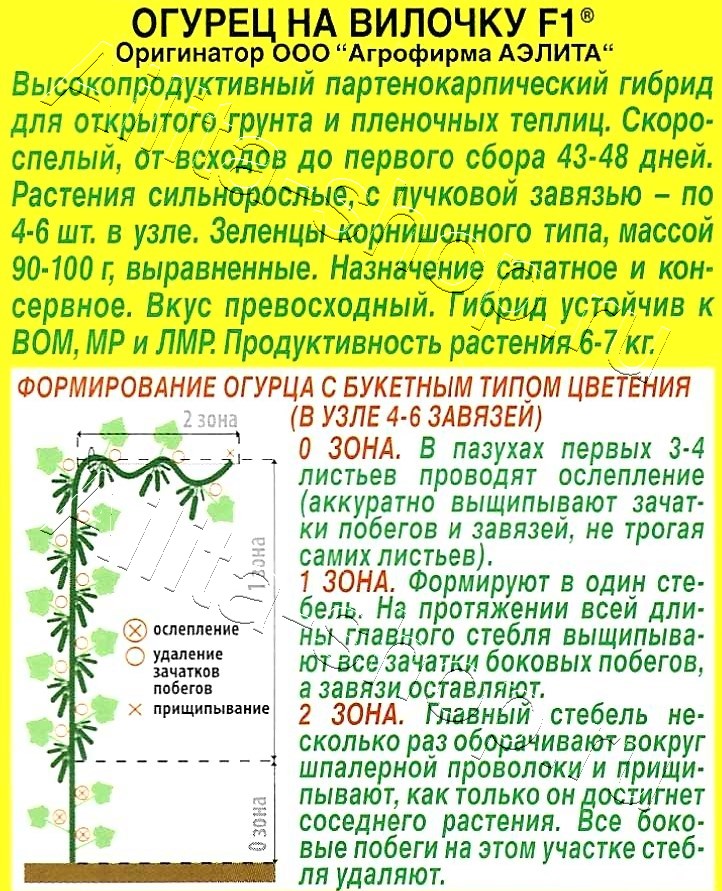 Огурец На вилочку F1 10шт