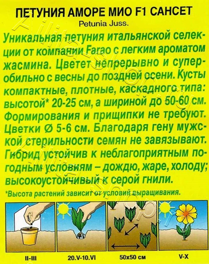 Петуния Аморе Мио сансет F1 5шт