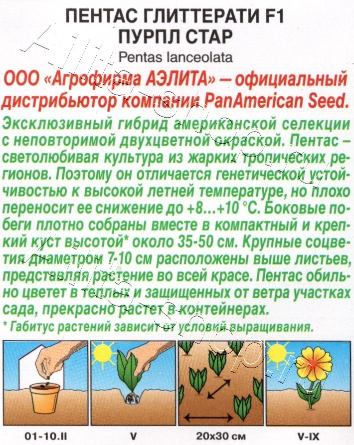 Пентас Глиттерати F1 пурпл стар 3шт