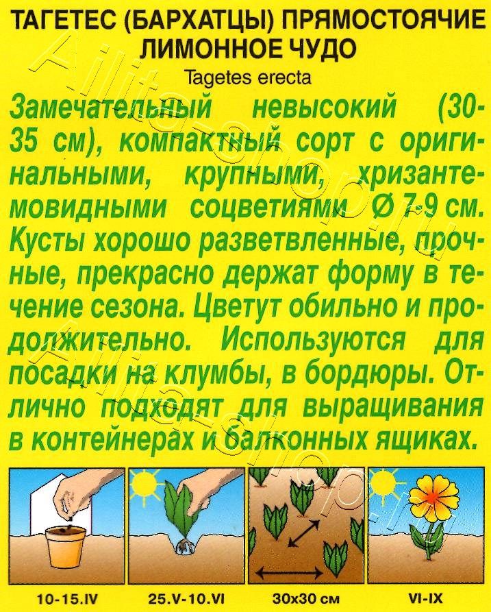 Бархатцы Лимонное чудо прямостоячие 0,1г