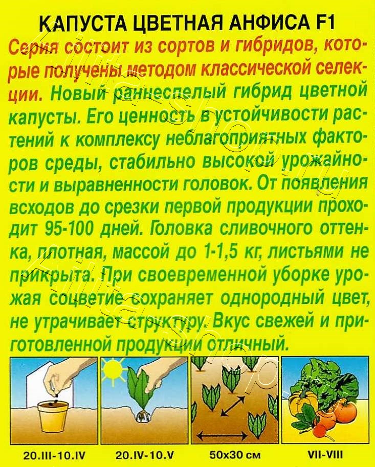 Капуста цветная Анфиса F1 0,1г
