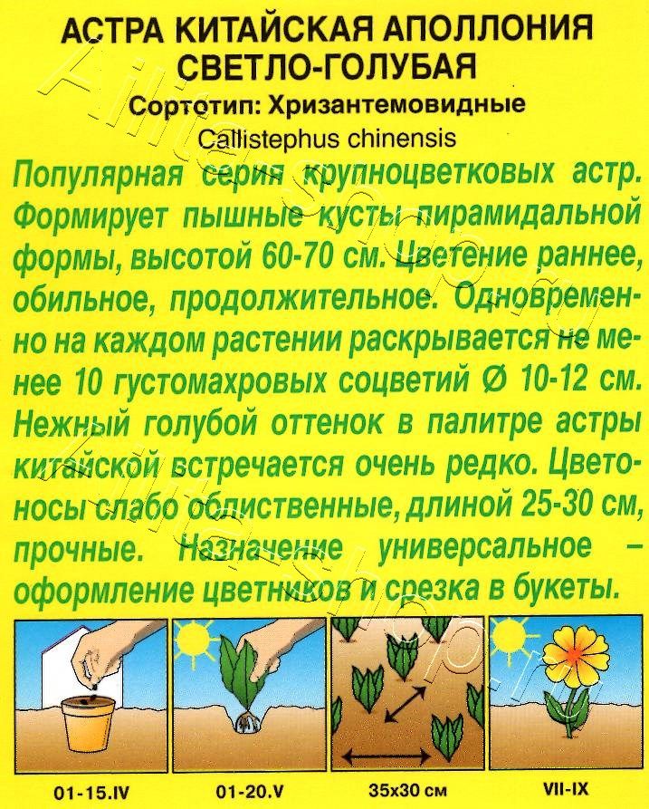 Астра Аполлония светло-голубая 0,2г