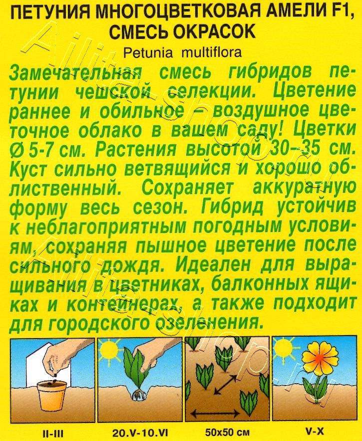 Петуния Амели F1 многоцветковая, смесь окрасок 10шт