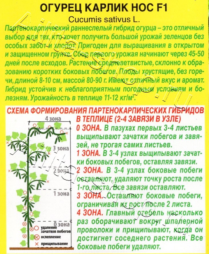 Огурец Карлик нос F1 10шт