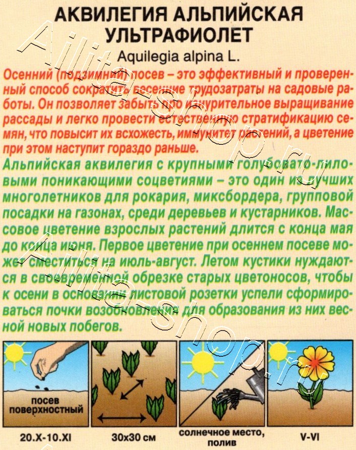 Аквилегия Ультрафиолет альпийская 0,1г