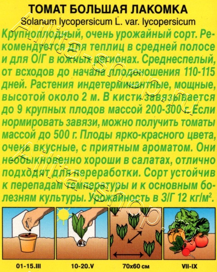 Томат Большая лакомка 20шт