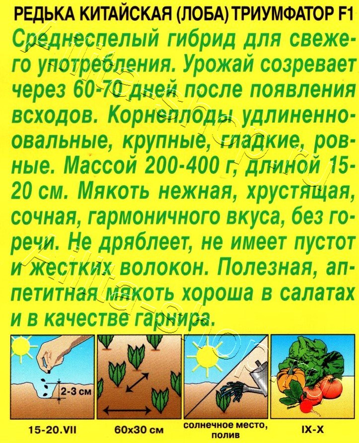 Редька китайская Триумфатор F1 10шт