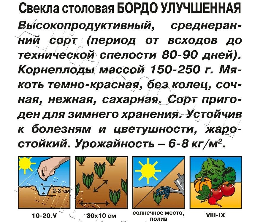 Свекла столовая Бордо улучшенная 3г