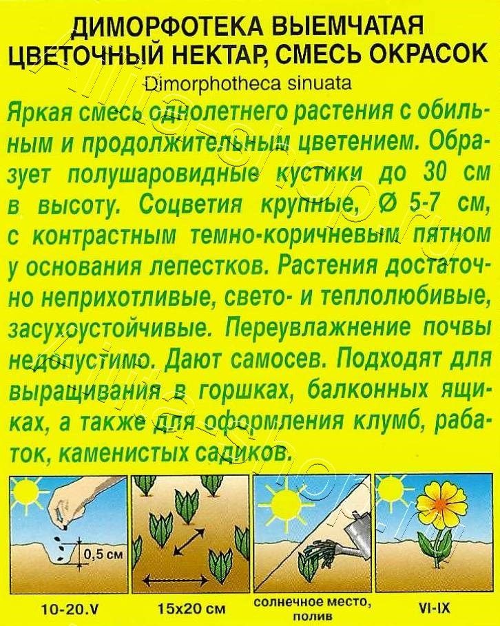 Диморфотека Цветочный нектар, смесь окрасок 0,2г