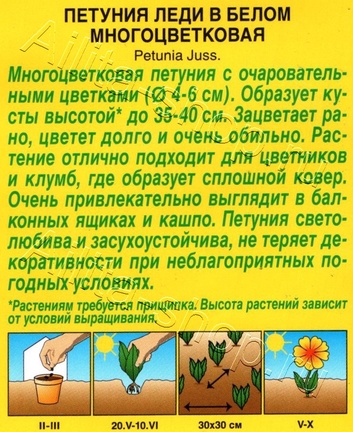 Петуния Леди в белом многоцветковая 0,1г