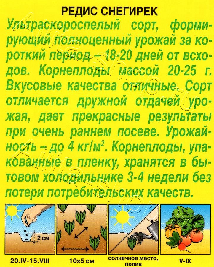 Редис Снегирек 2г