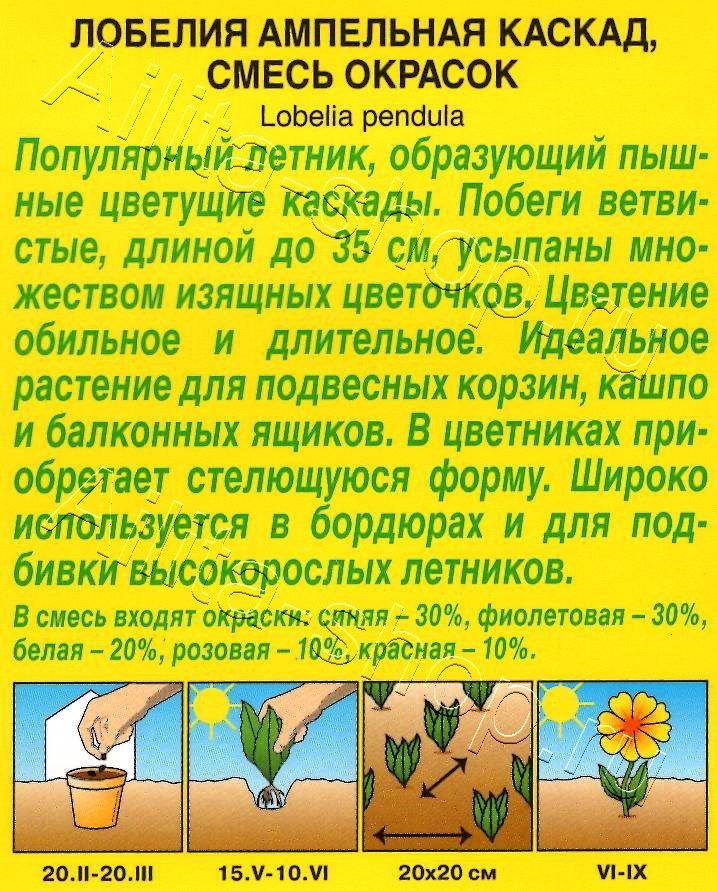 Лобелия Каскад ампельная, смесь окрасок 0,1г