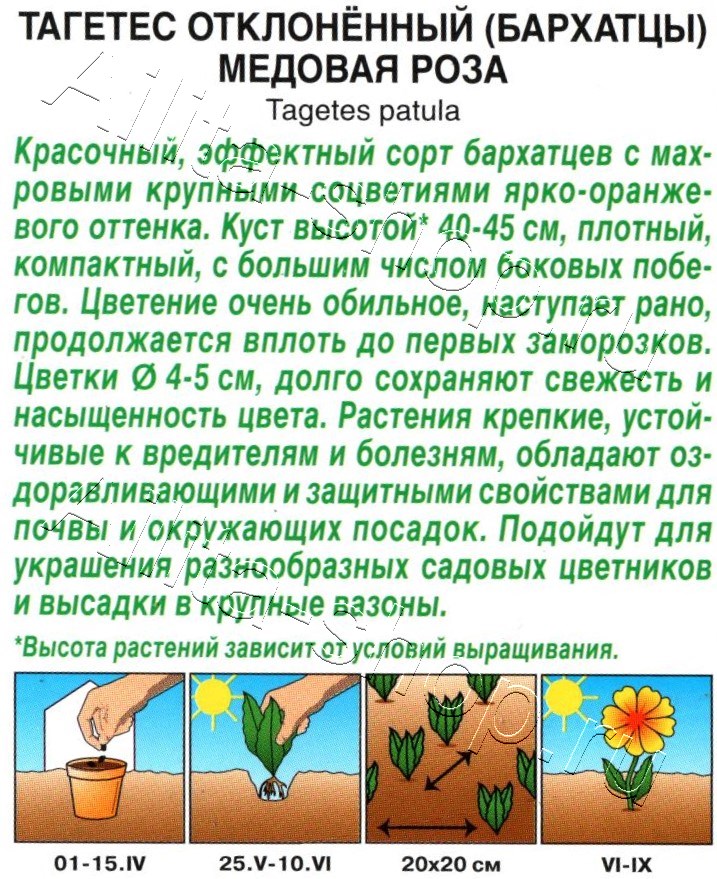 Бархатцы Медовая роза отклоненные 0,3г