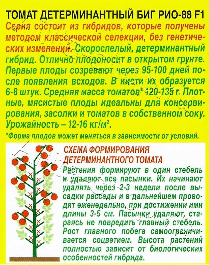 Томат Биг Рио-88 F1 20шт