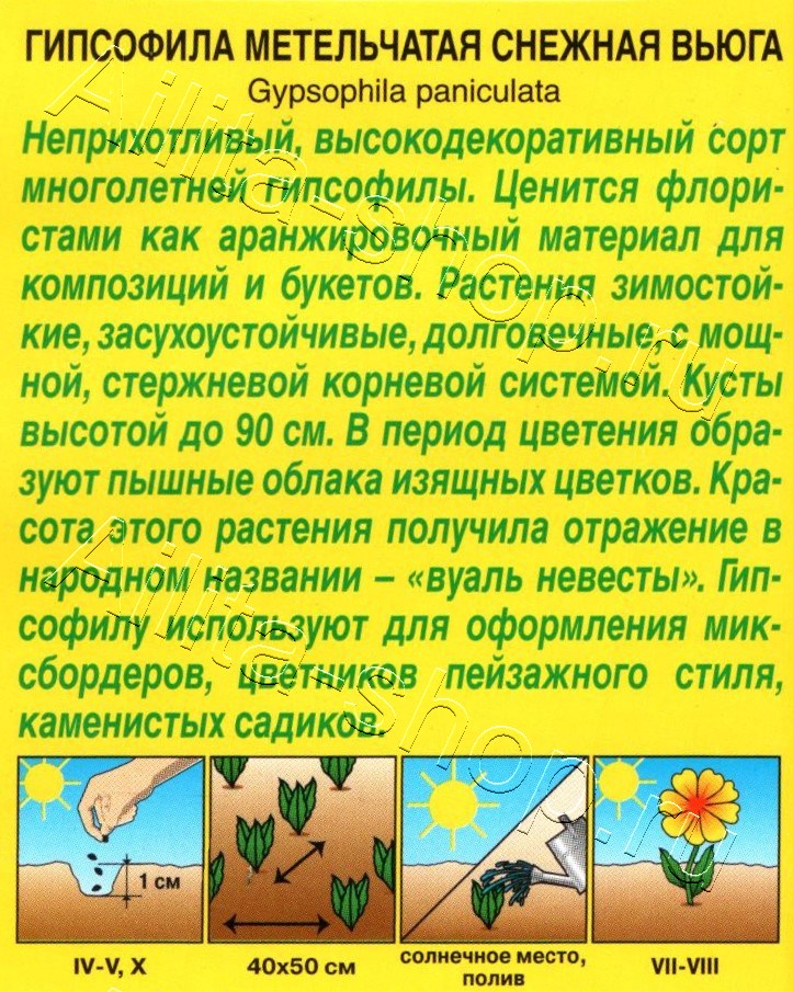 Гипсофила махровая Снежная вьюга 0,05г