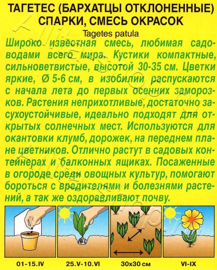 Бархатцы Спарки, смесь окрасок 0,3г