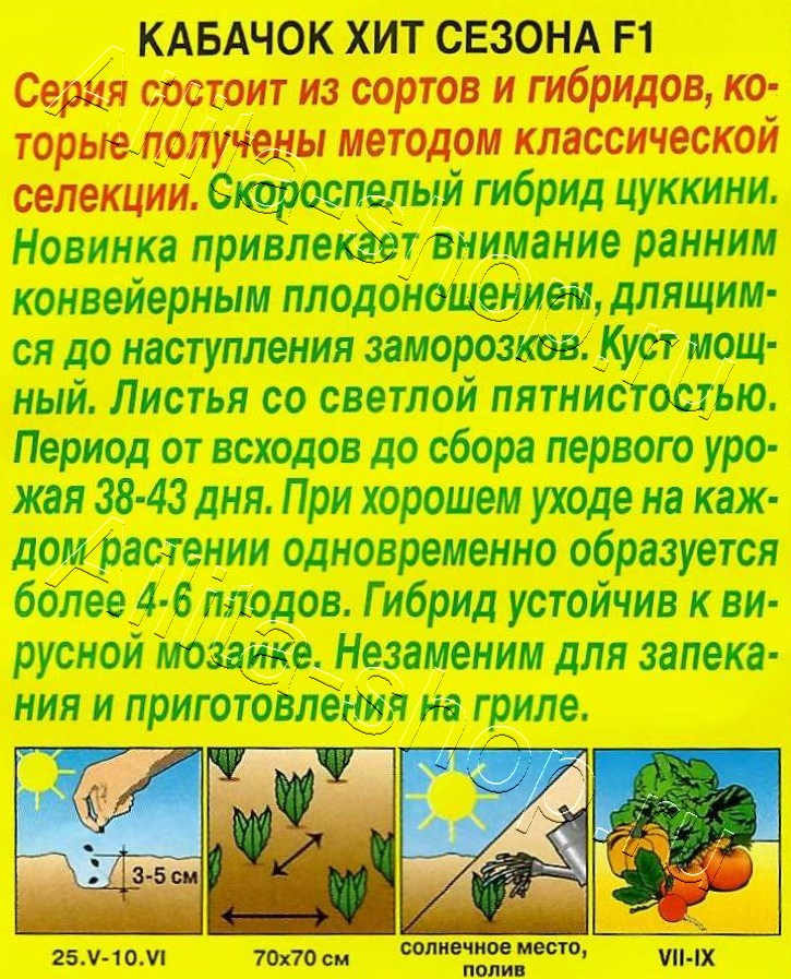 Кабачок Хит сезона F1 5шт