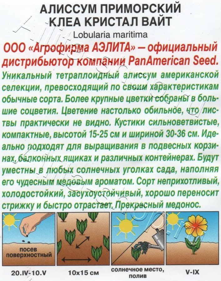 Алиссум Клеа кристал вайт 4шт