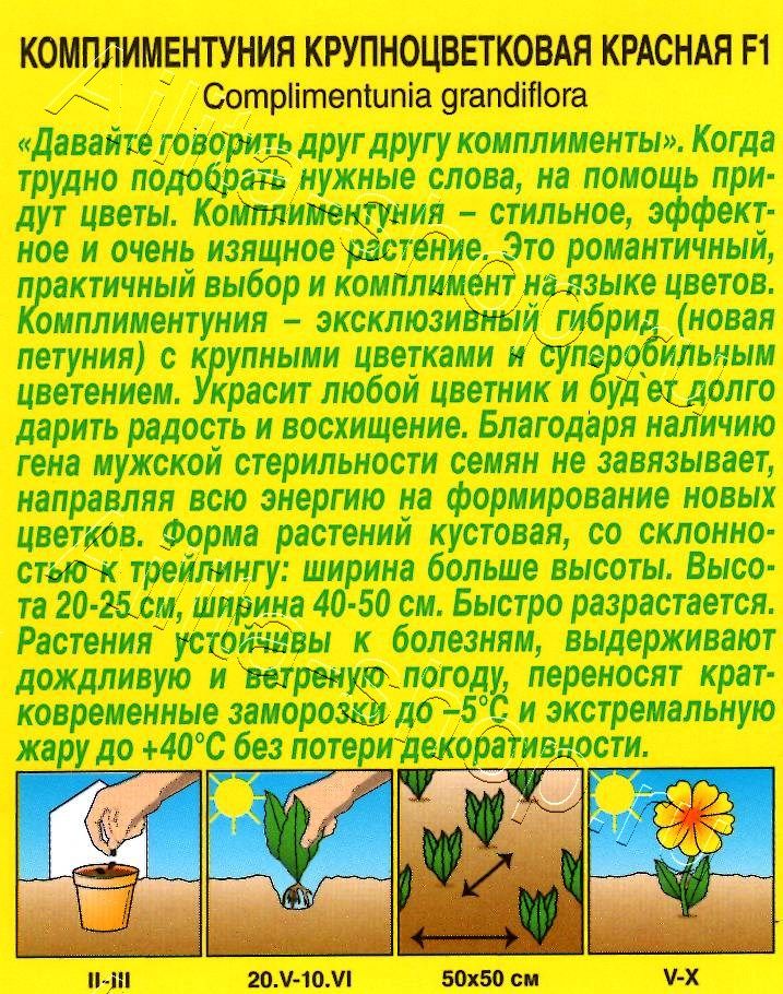 Комплиментуния красная F1 крупноцветковая 10шт