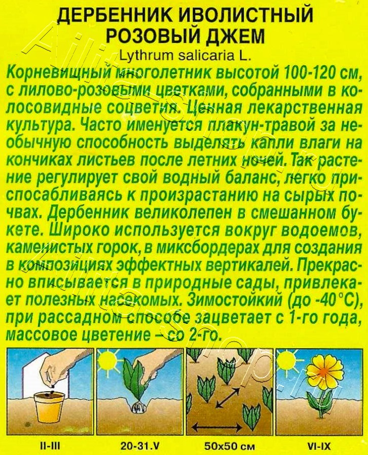 Дербенник Розовый джем 0,05г