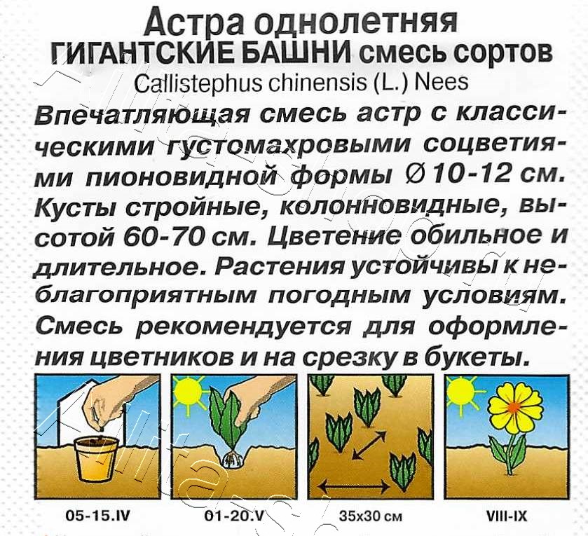 Астра Гигантские башни, смесь сортов 0,2г