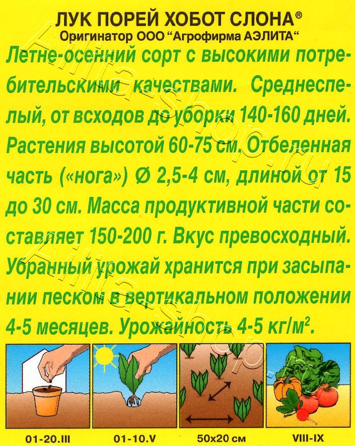 Лук порей Хобот слона 0,5г