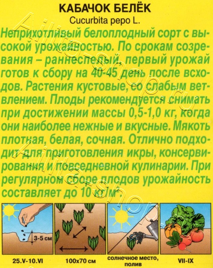 Кабачок белоплодный Белёк 1г