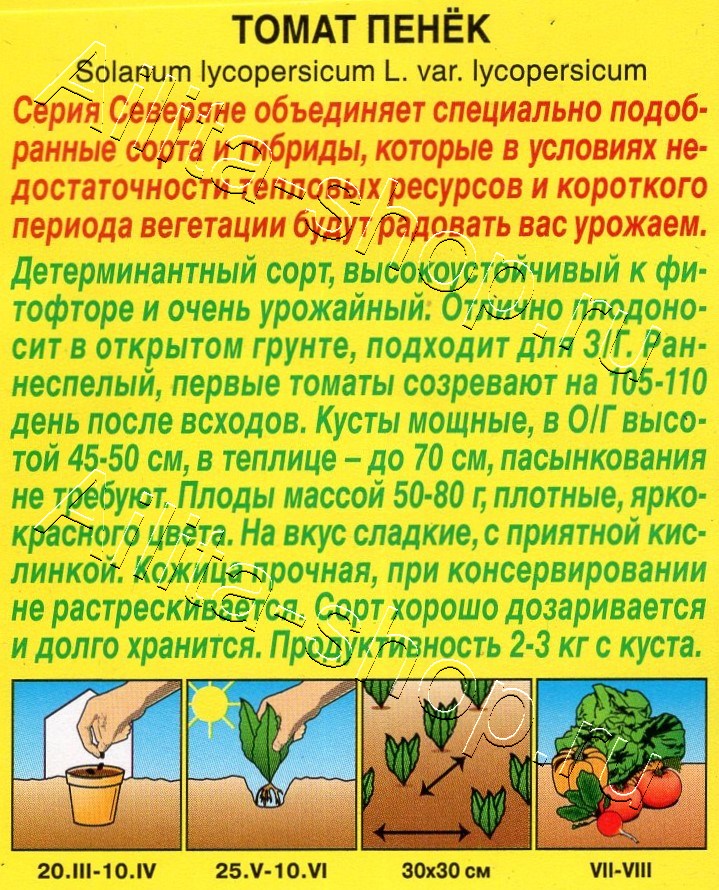 Томат Пенёк 20шт