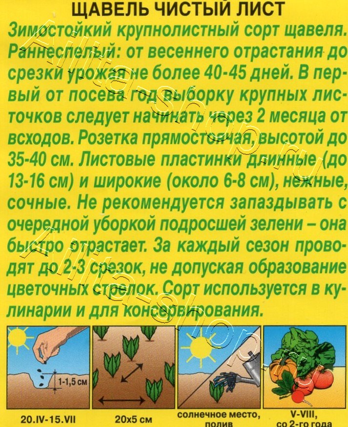 Щавель Чистый лист 0,5г