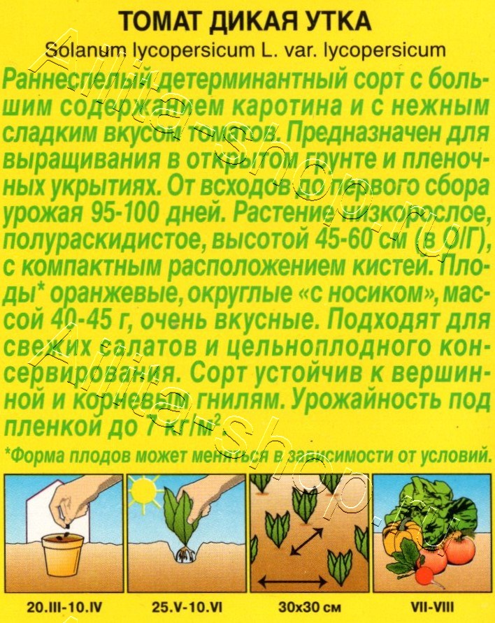 Томат Дикая утка 20шт