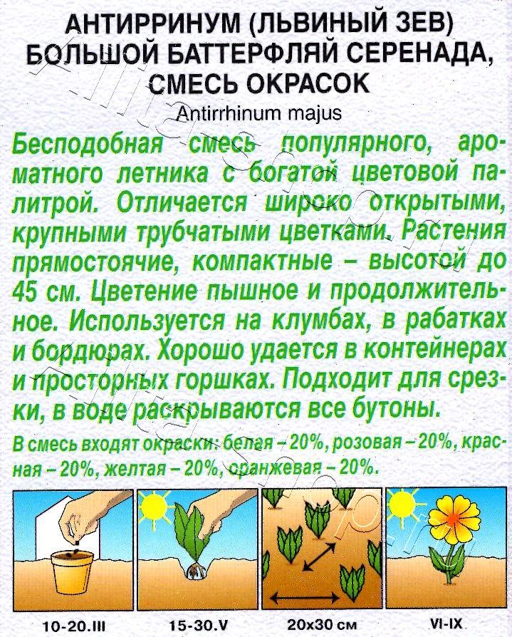 Львиный зев Баттерфляй Серенада, смесь окрасок 0,1г