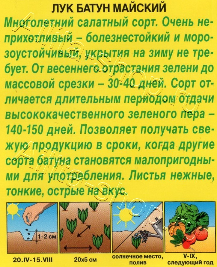 Лук батун Майский 0,5г