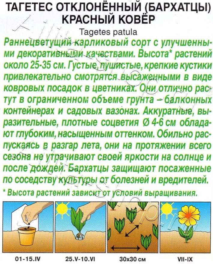 Бархатцы Красный ковер отклоненные 0,1г