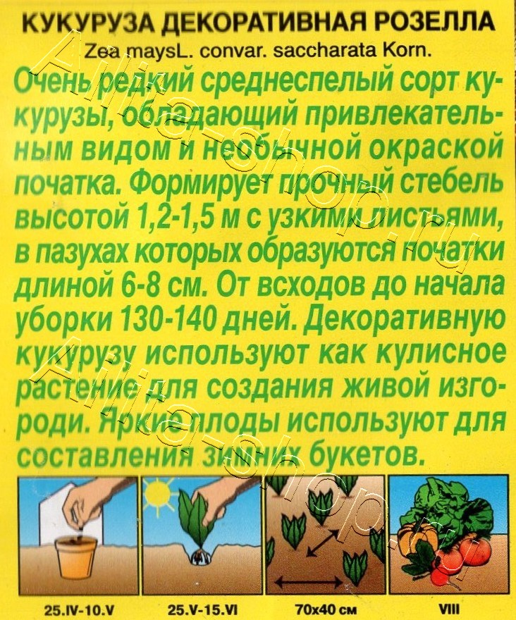 Кукуруза декоративная Розелла 10шт