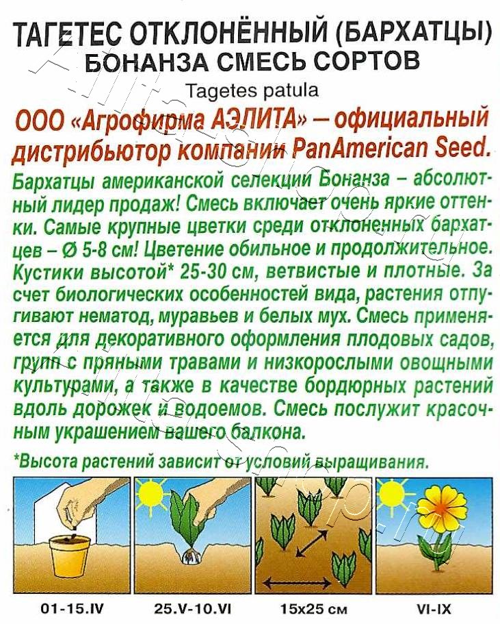 Бархатцы Бонанза, смесь сортов 7шт
