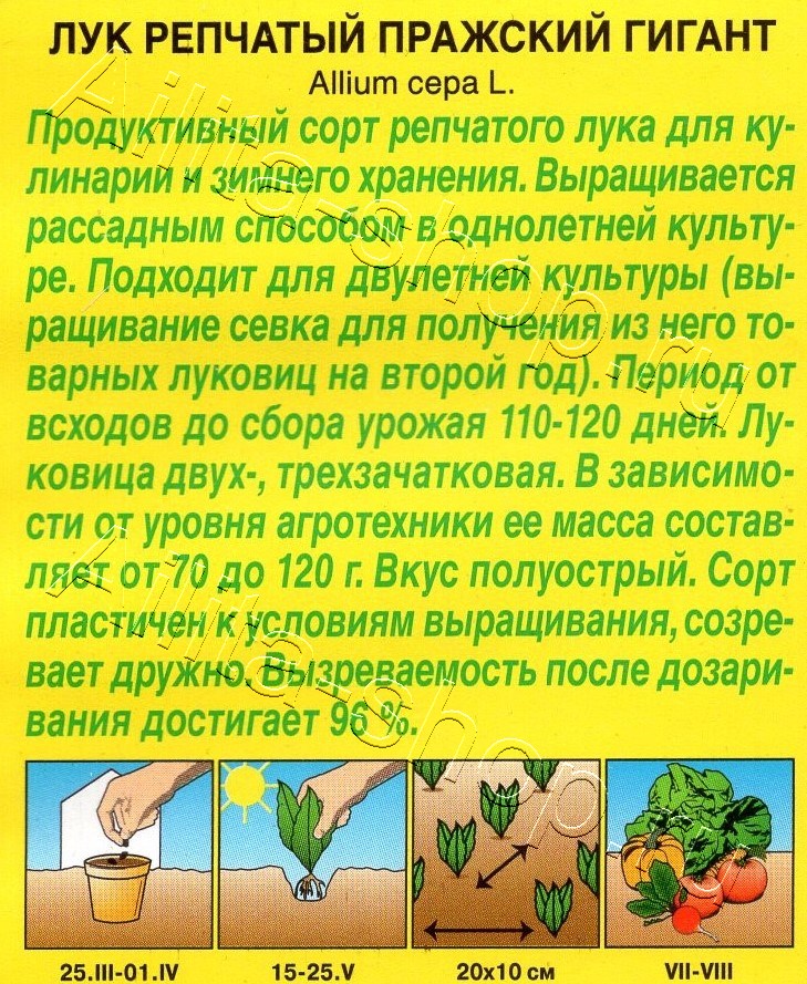 Лук репчатый Пражский гигант 0,2г