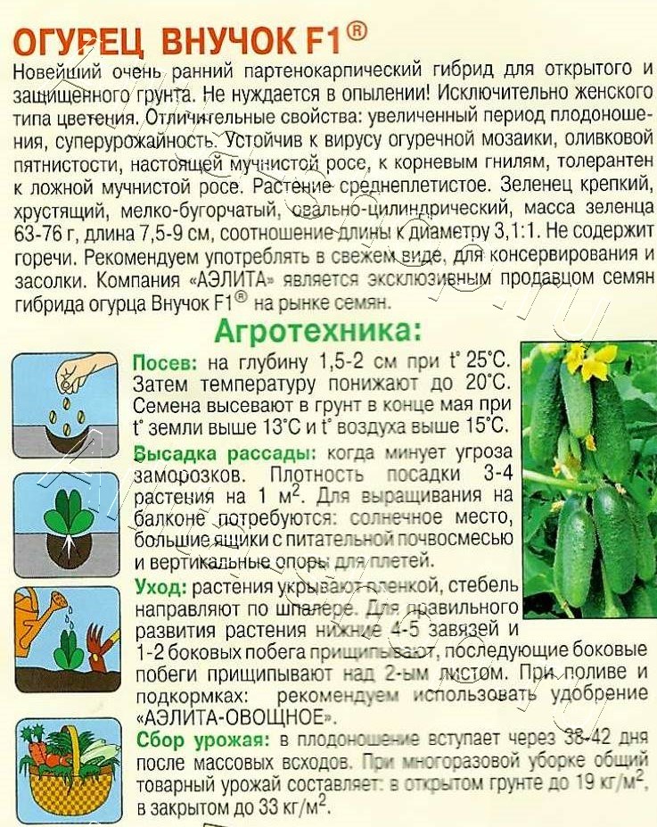 Огурец Внучок F1 10шт