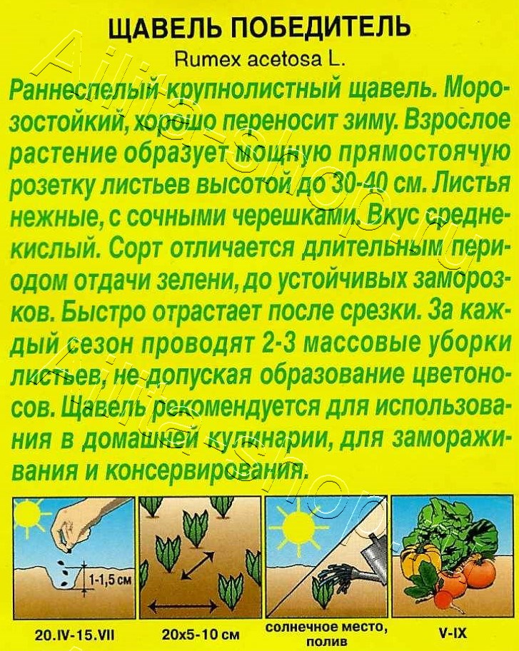 Щавель Победитель 0,5г