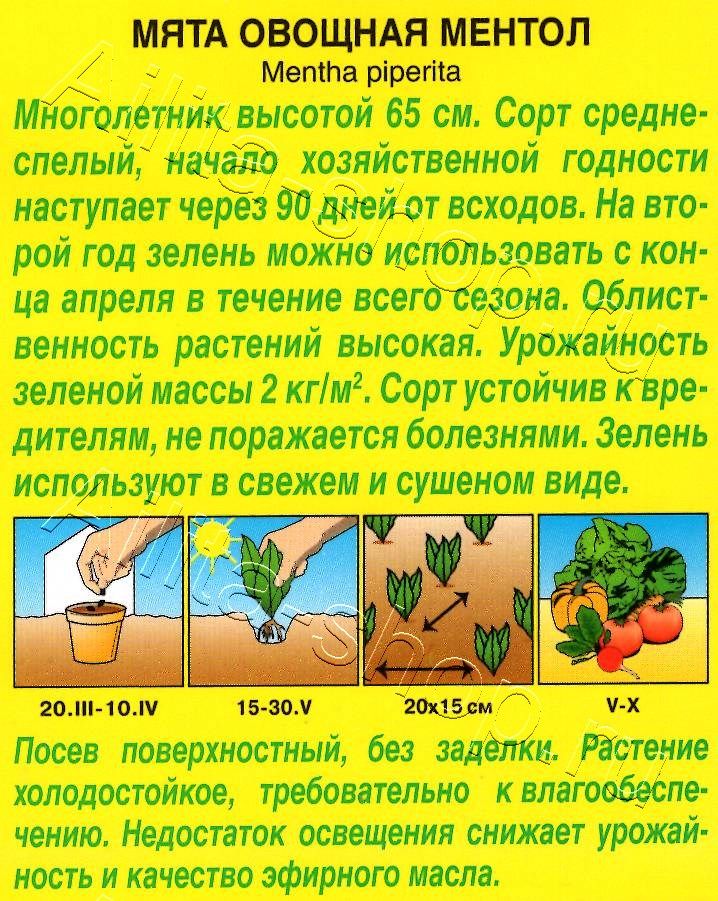 Мята овощная Ментол 0,04г