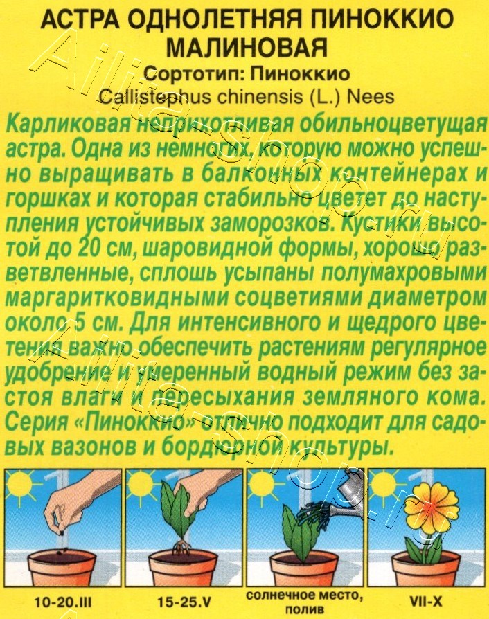 Астра Пиноккио малиновая 0,05г