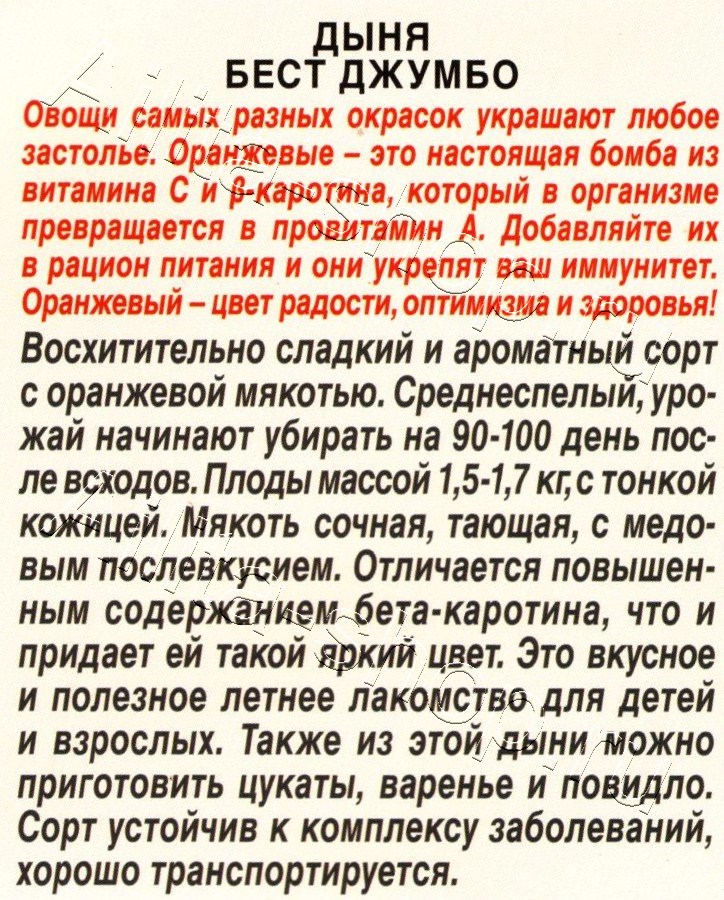 Дыня Бест Джумбо 1г