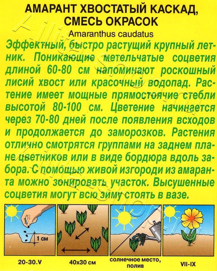 Амарант Каскад, смесь окрасок 0,5г