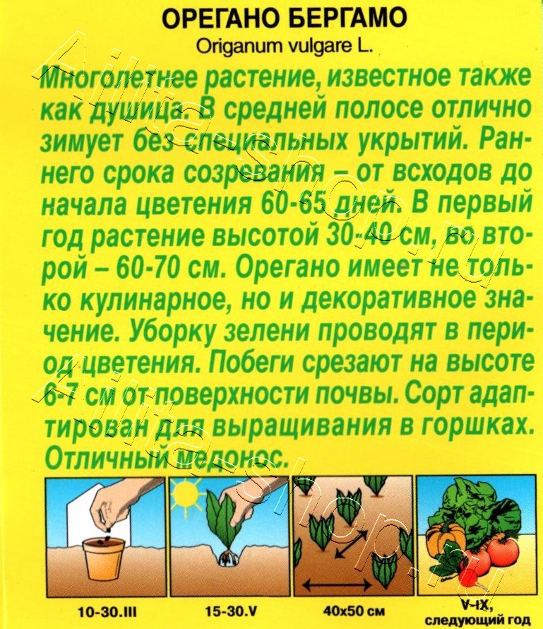 Орегано Бергамо 0,05г