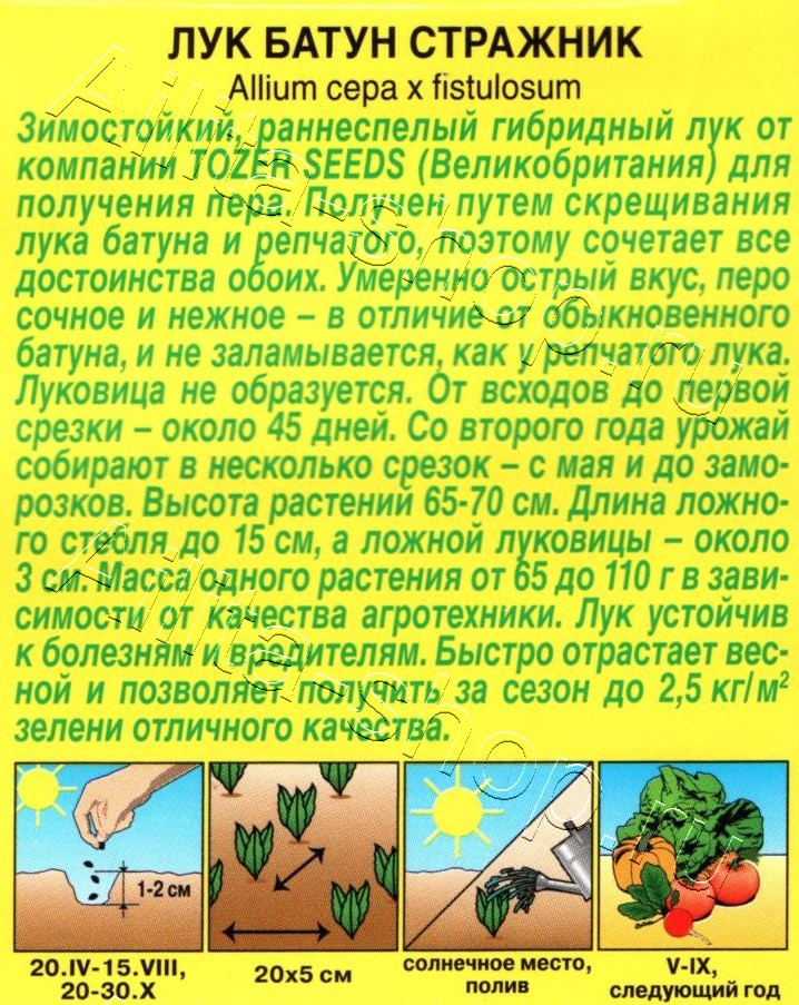 Лук батун Стражник 0,5г