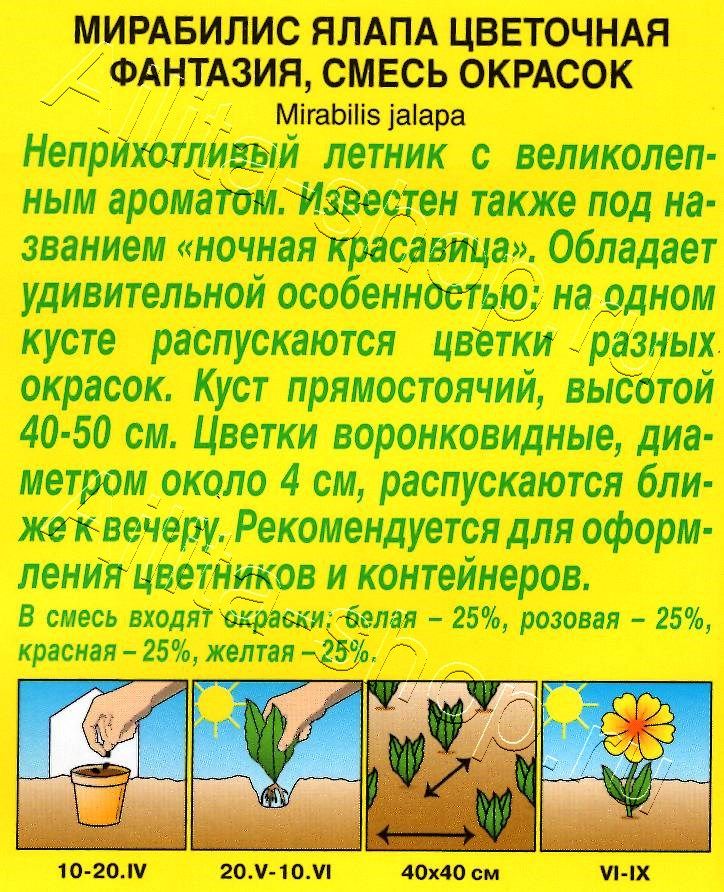 Мирабилис Цветочная фантазия, смесь окрасок 1г