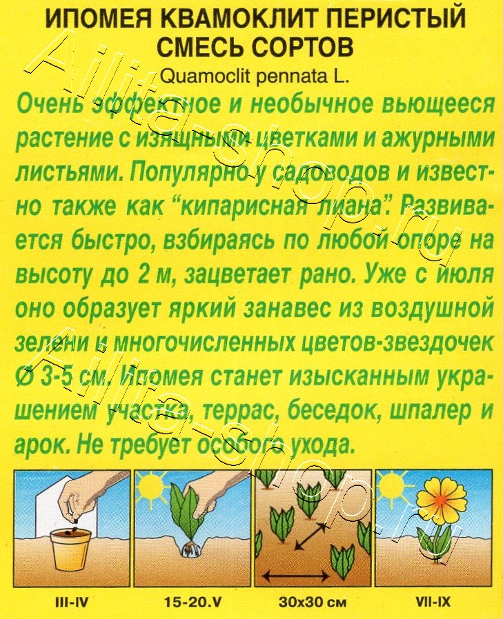 Ипомея Квамоклит, смесь окрасок 0,5г