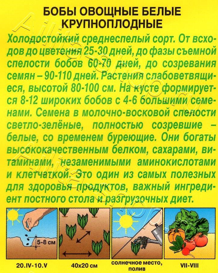 Бобы овощные Белые крупноплодные 10г