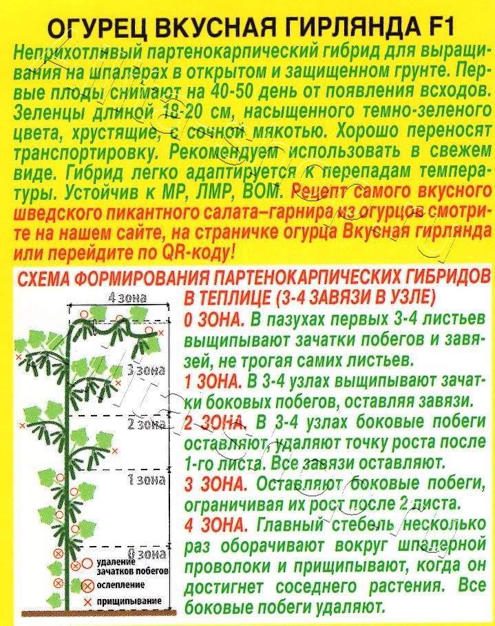 Огурец Вкусная гирлянда F1 7шт