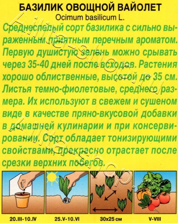 Базилик овощной Вайолет 0,2г